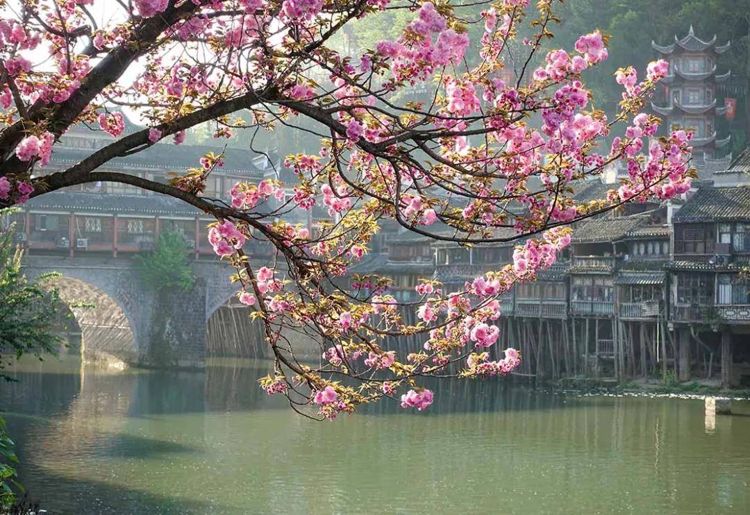 文章配图-3