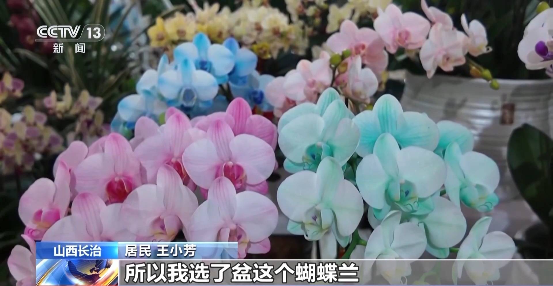 深圳“潮”商圈 长治“花”样年 新春消费“热辣滚烫6686体育登录”(图2)