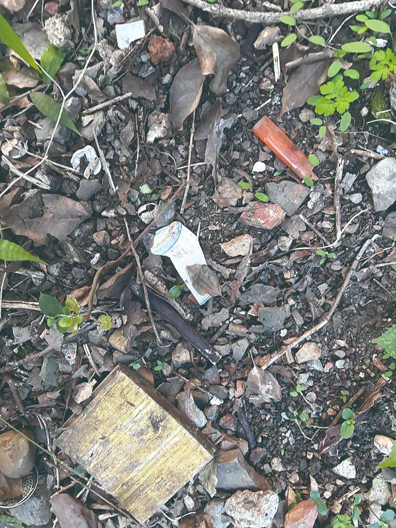 突然火了!杭州这座山上能捡到清朝小药瓶?专家回应 突然火了!杭州这座山上能捡到清朝小药瓶?专家回应