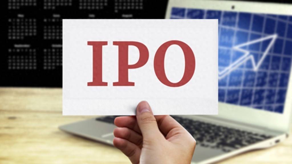 ipo交易所受理是上什么意思