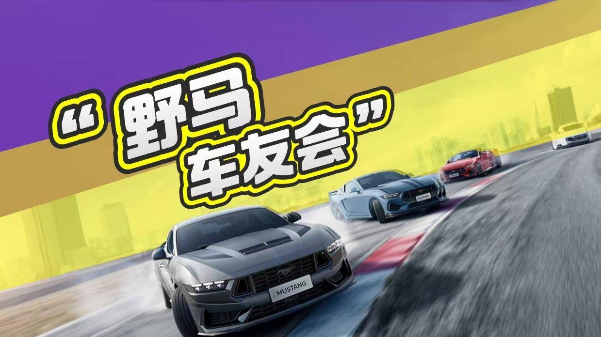 即将播放下一条点击画面，查看详情 >|跳过广告【映试车】体验野马5.0v8发