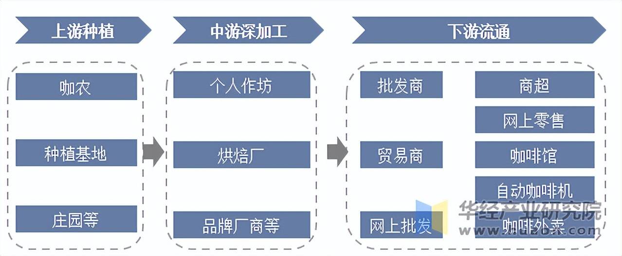 星空体育下载2025年中国咖啡门店数量产业链及种类分布(图3)