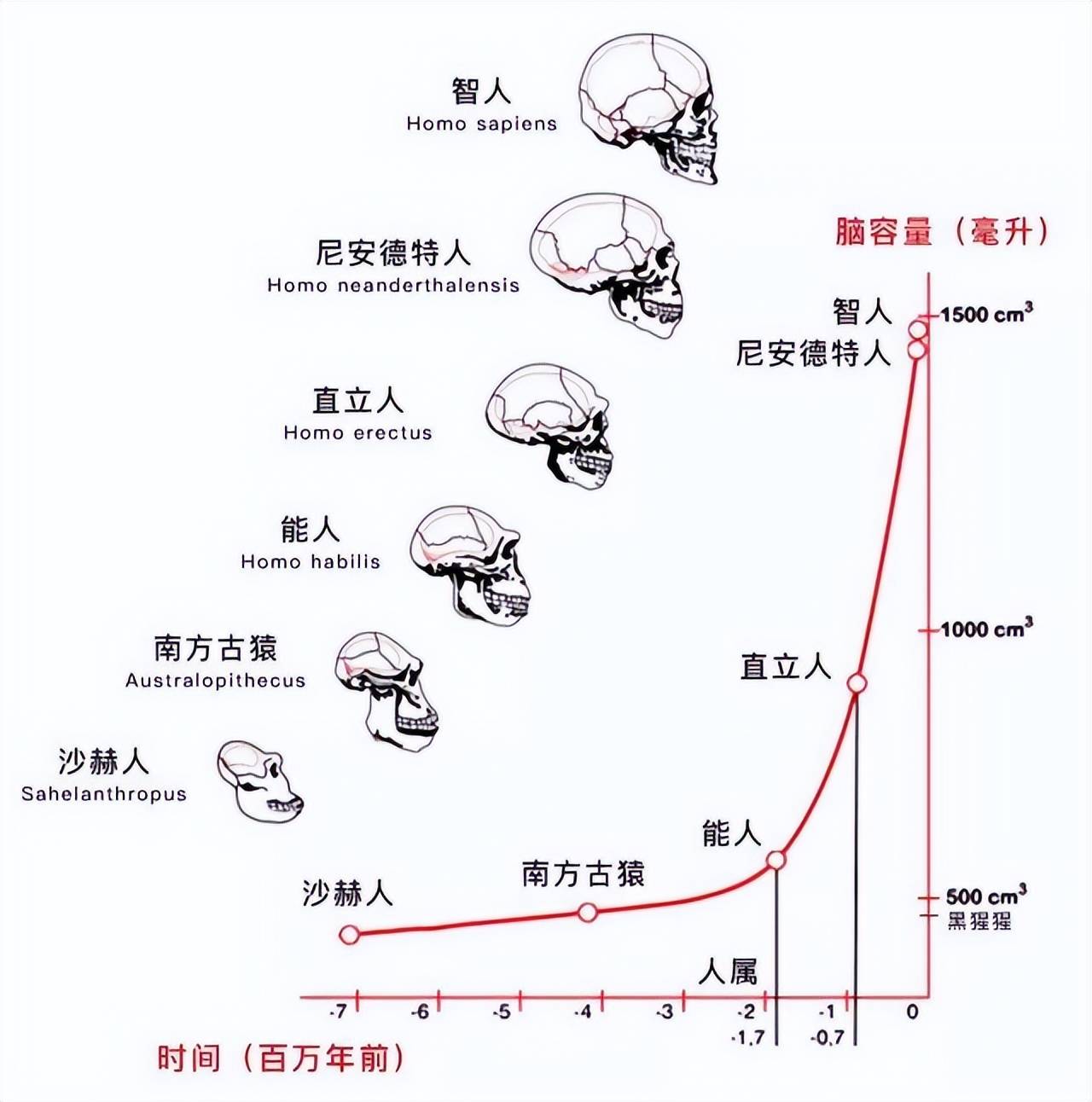 原创             地球上一开始并没有人，第一个男人和女人是怎么来的？