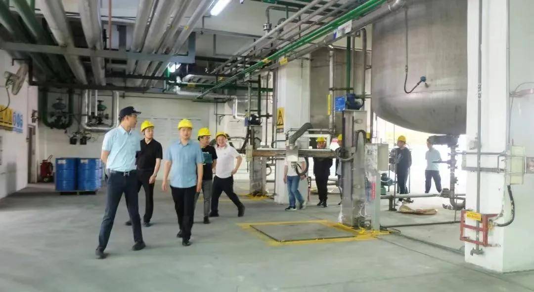 果博平台涂家具丨高质专注聚力百川2024年的“三生门”(图14)