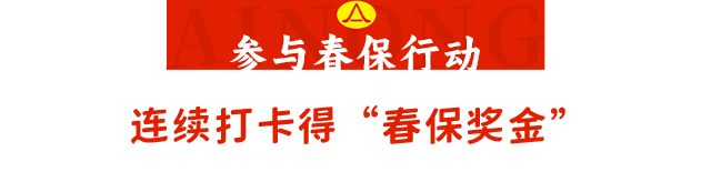 春节家政服务不断档北京爱侬暖心举措守护“烟火气”(图5)