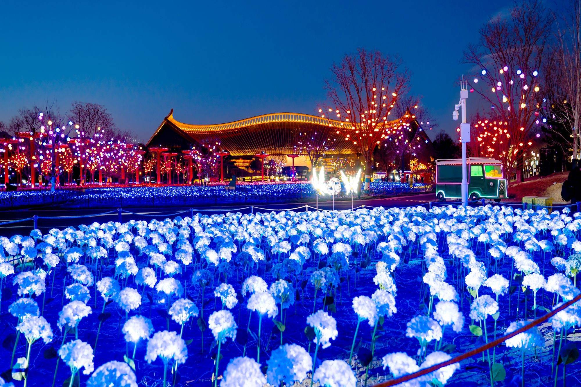 北京世园花灯艺术节赏花灯过大年传统与科技交织充满浪漫(图1)