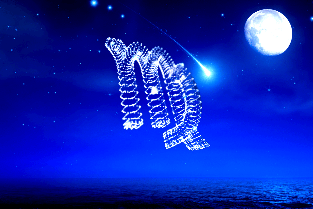事业与财富双丰收星座新年魅力如阳光(图2)