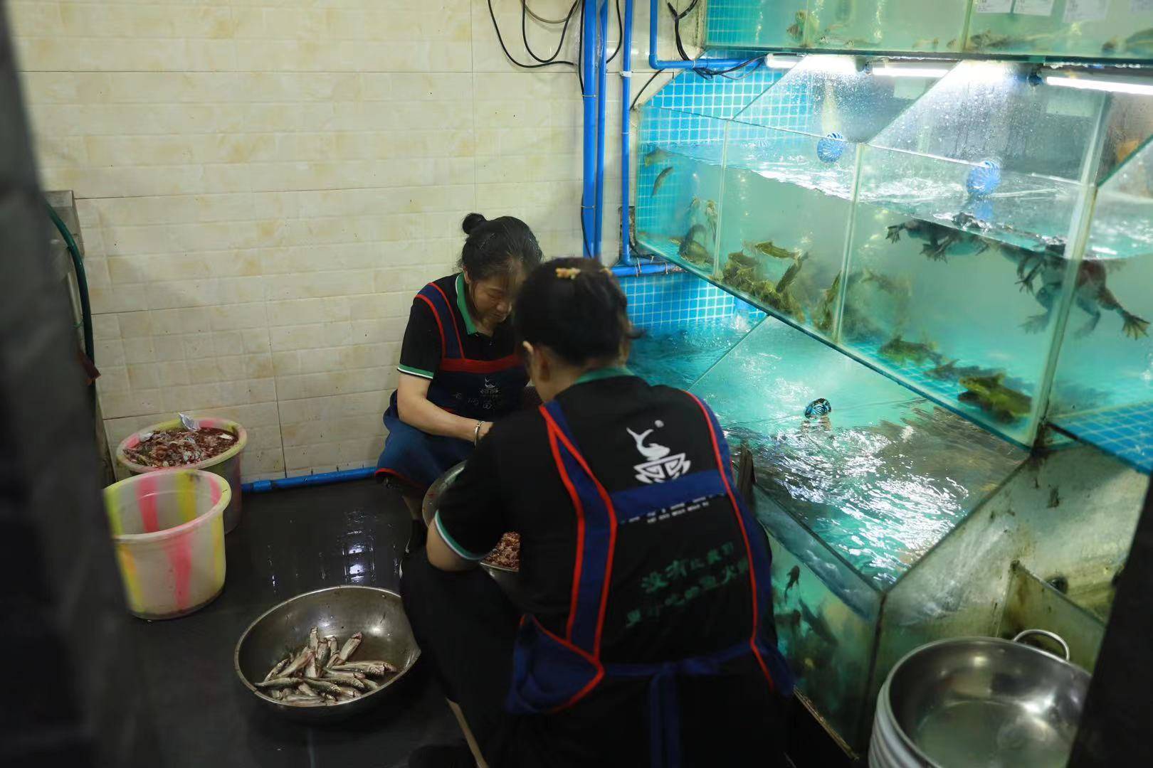 如今这么多的餐饮品牌诞生连锁餐饮品牌加盟的优势新葡萄娱乐是什么？(图5)