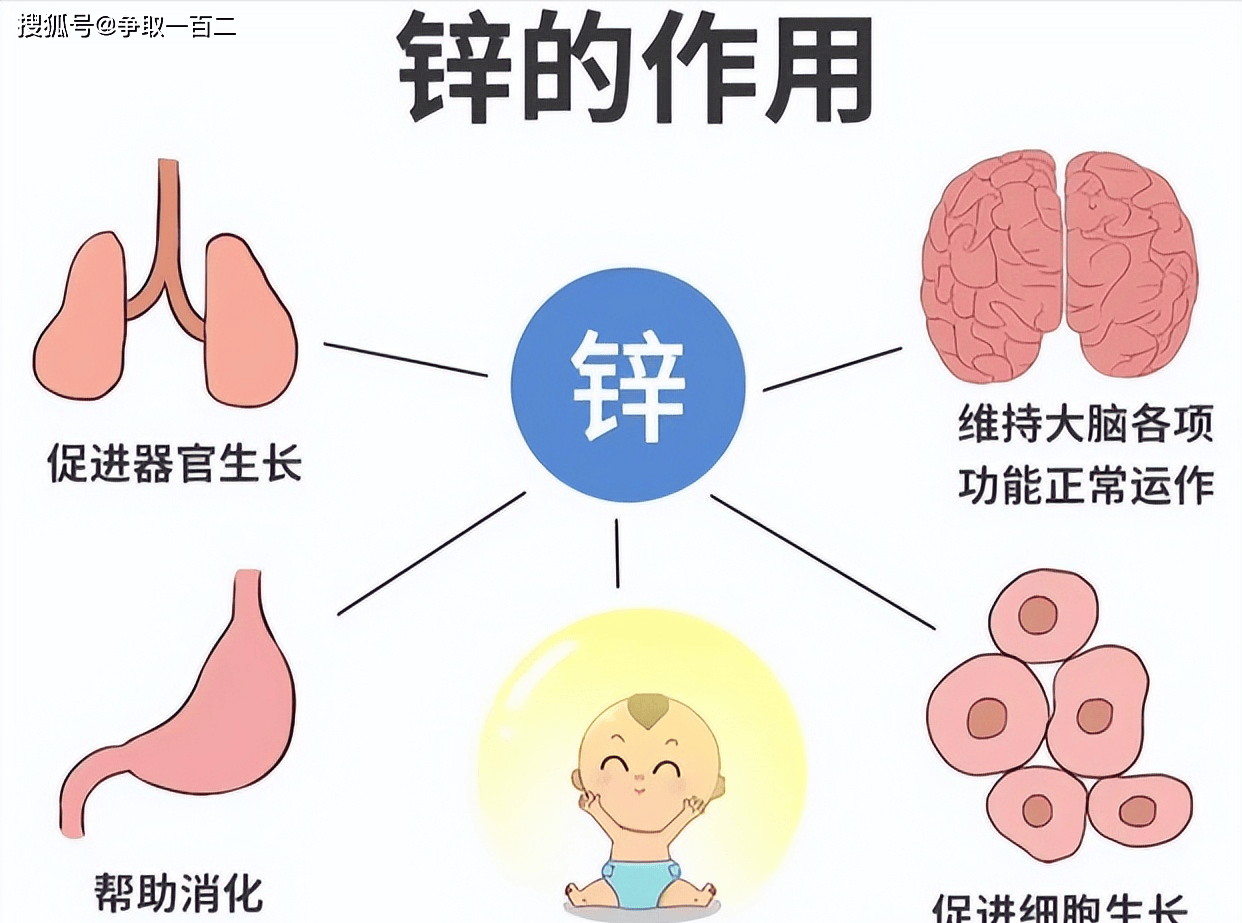 微量元素锌，对人体有多么重要！
