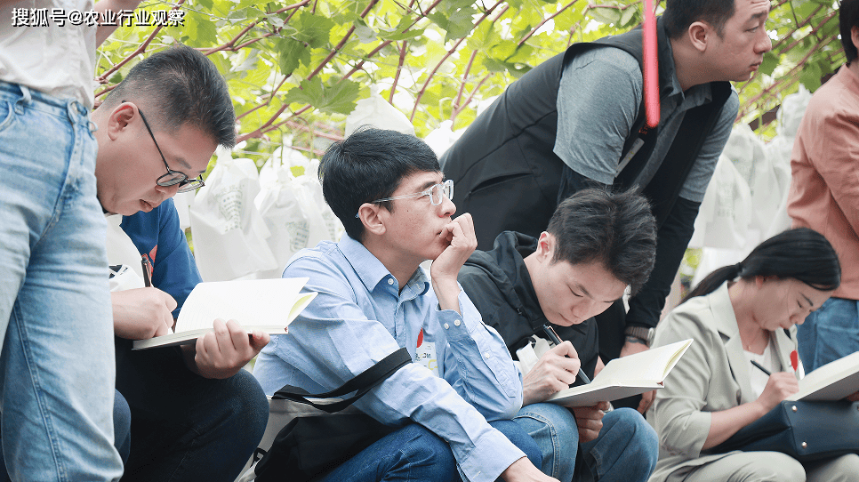 BLOOM FRESH 在中国启动IF开云体育网址G 六葡萄品种合法化项目获煜谦和百果种业鼎力支持(图2)