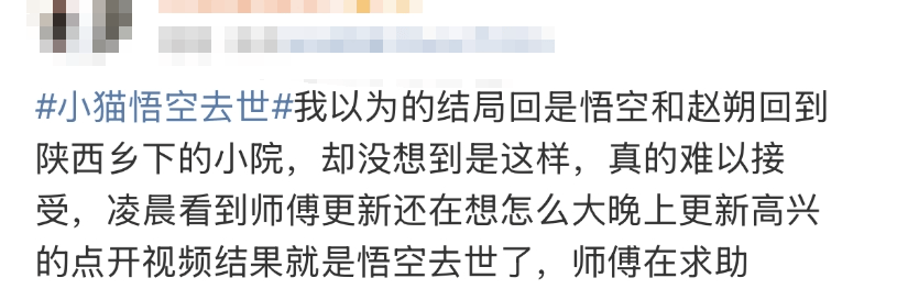 泪崩，网红小猫“悟空”遭车祸去世！主人：曾希望它有72条命