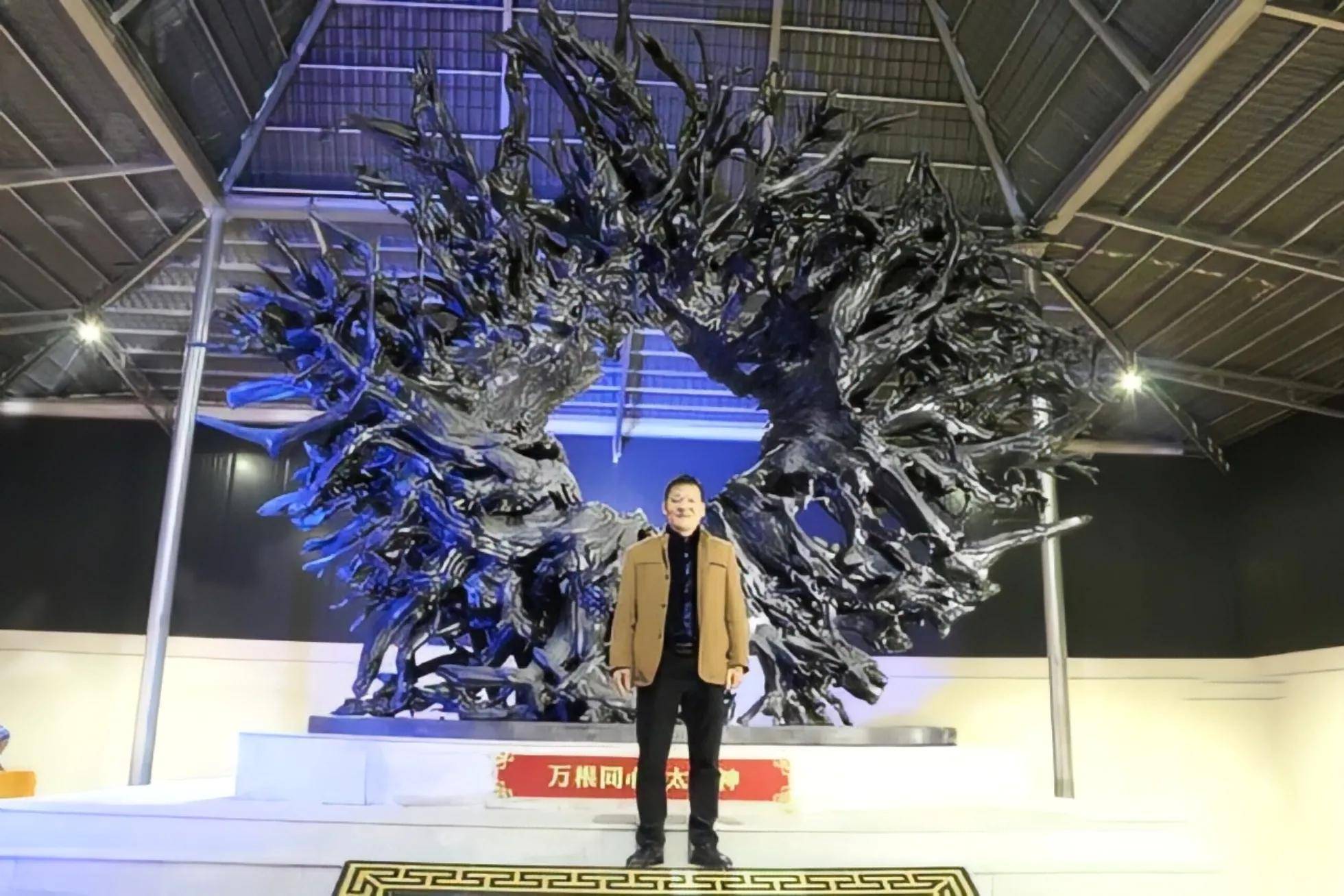 1996年他挖出8吨树根结果过了4年后出价1200万都不肯卖