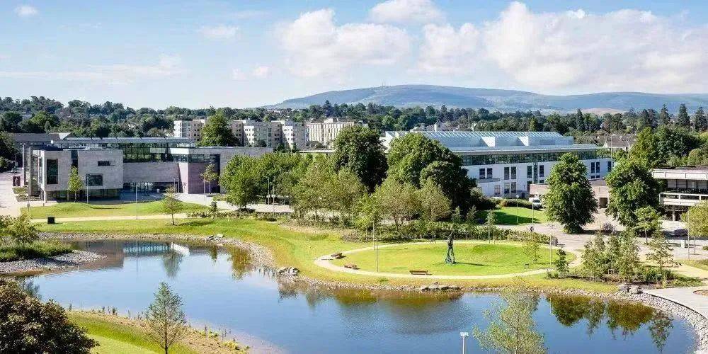 无背景限制!爱尔兰top5大学商科硕士盘点:tcd/ucd/高威等跨申宝藏项目汇总