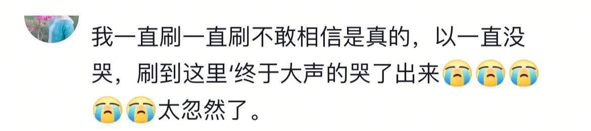 挚友李乃文悼念朱媛媛的方式全网泪崩！已更换和辛柏青相同头像