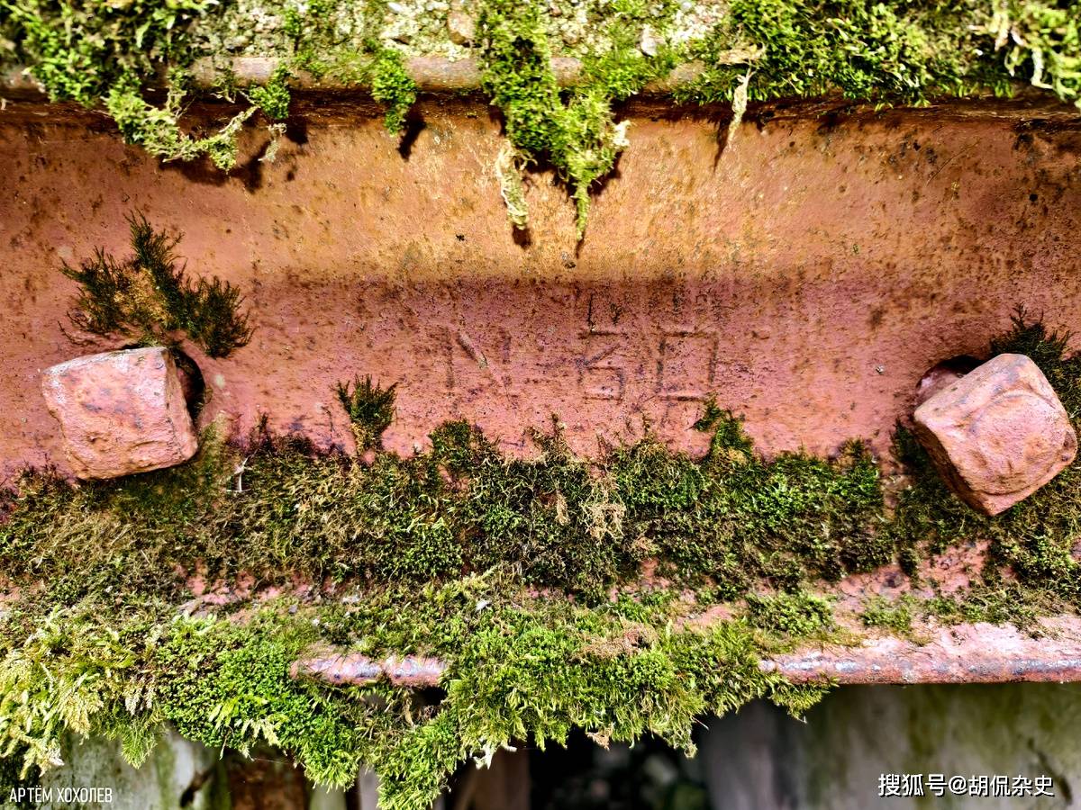 沼泽、保险箱与辐射：如何寻找卡累利阿防御区的指挥观察碉堡