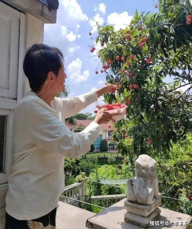 惋惜！“大恶人”方刚去世！享年78岁，一生无儿无女