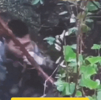 近日曝光！被印军包围，两名落单解放军嘴咬手雷，誓死不当俘虏