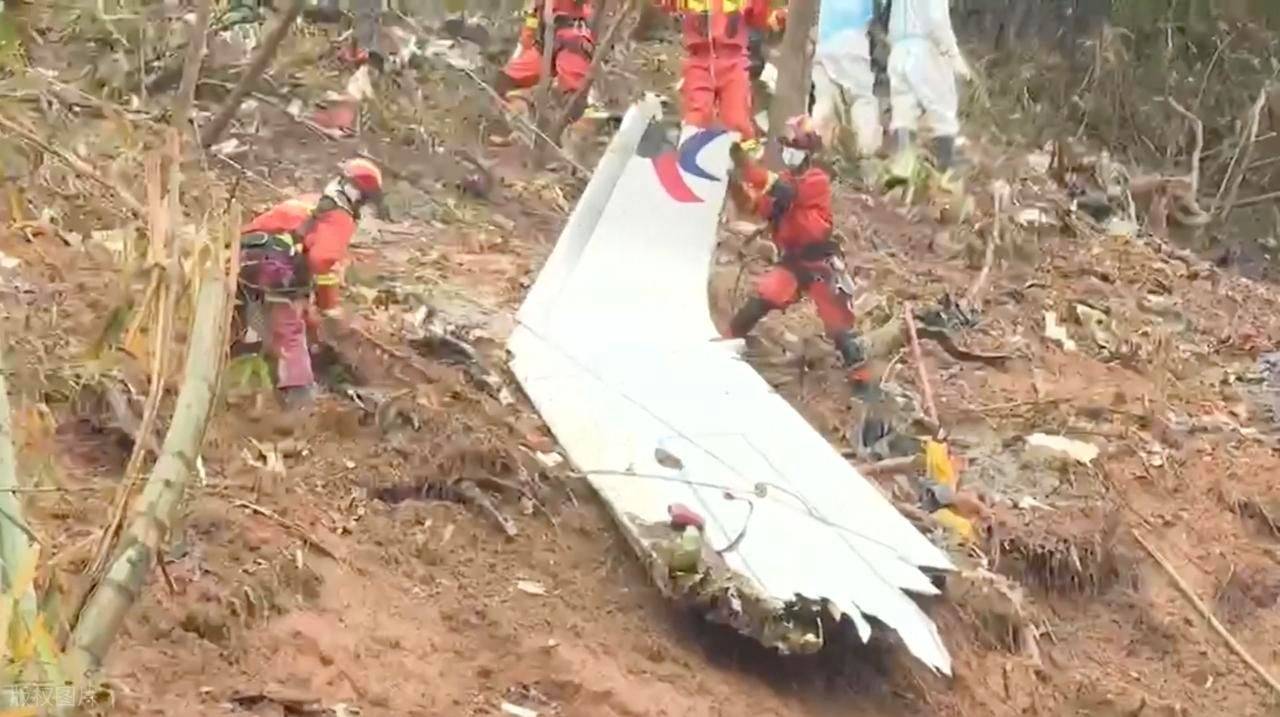 副驾手一抖，242人命没了