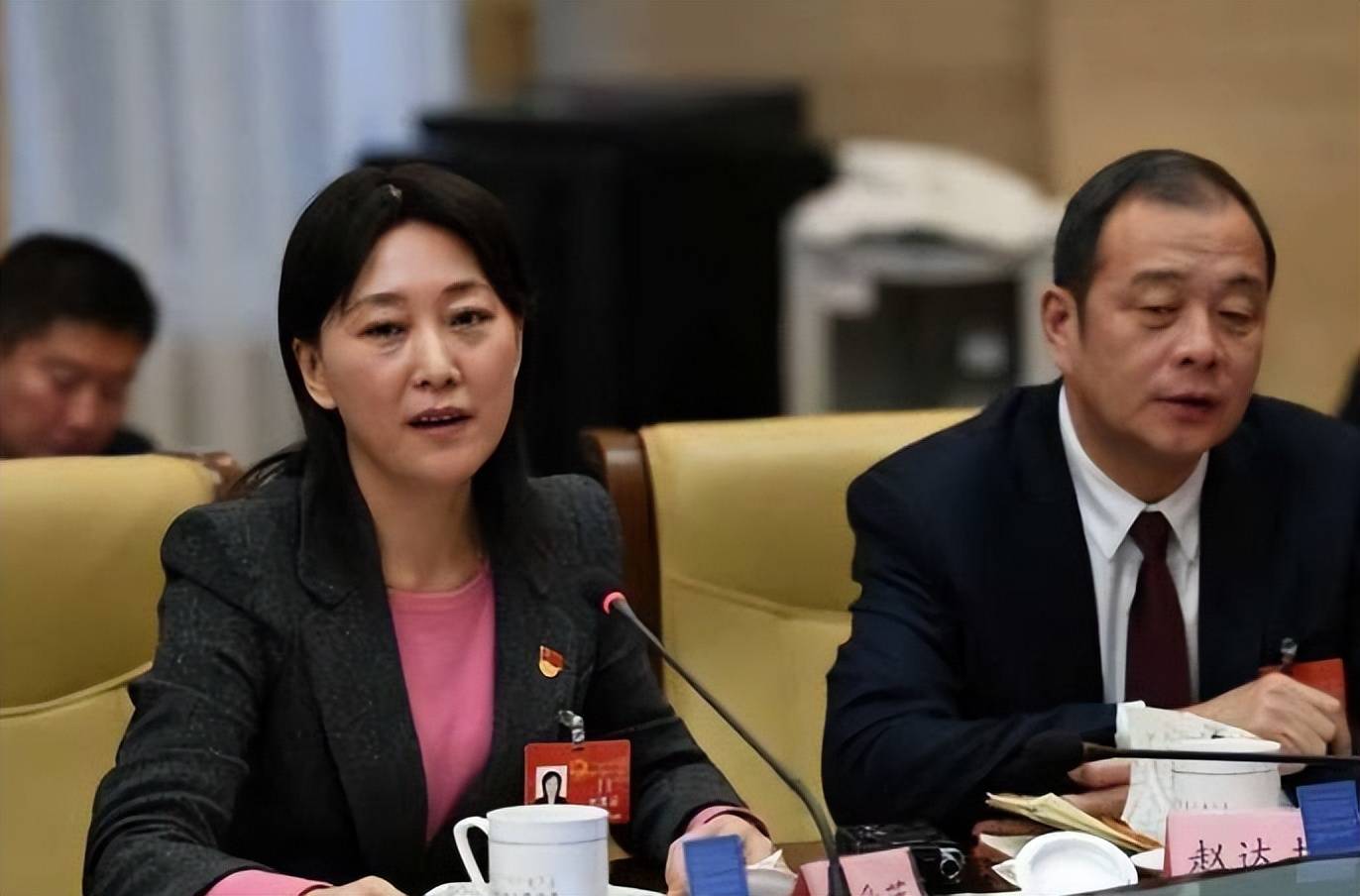 女市长许爱莲，敛财5亿加拿大20套房产，后台关系通天