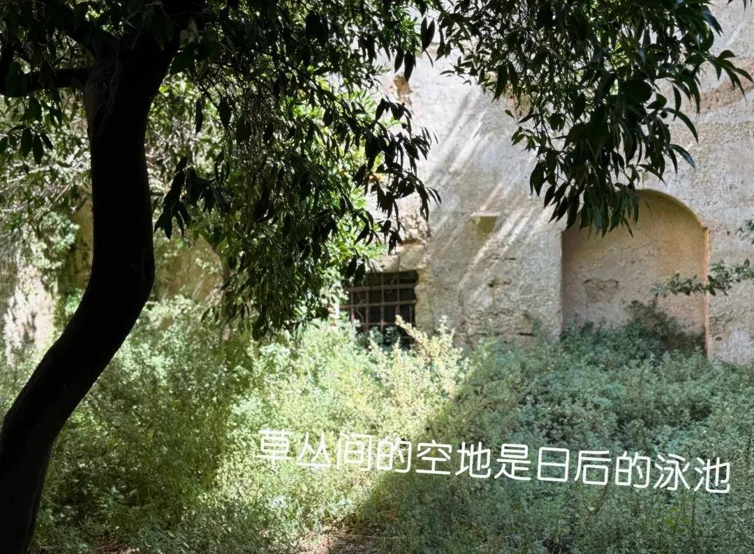 陈赫前妻许婧在意大利买宅子，民宿开到美洲，外国帅老公替她看店