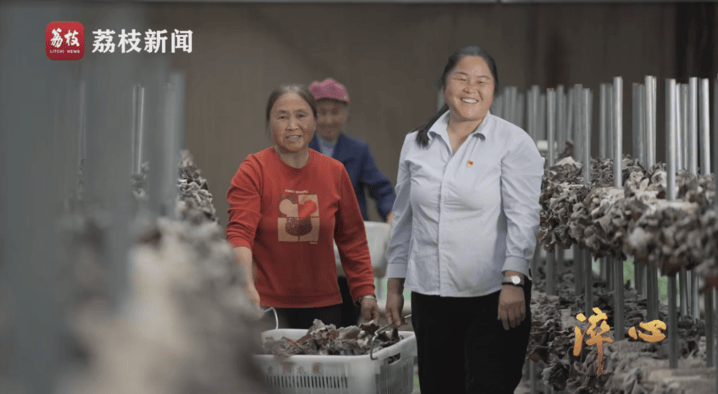 重生六月栖栖:微纪录片《淬心》第二集 | 以百姓心为心