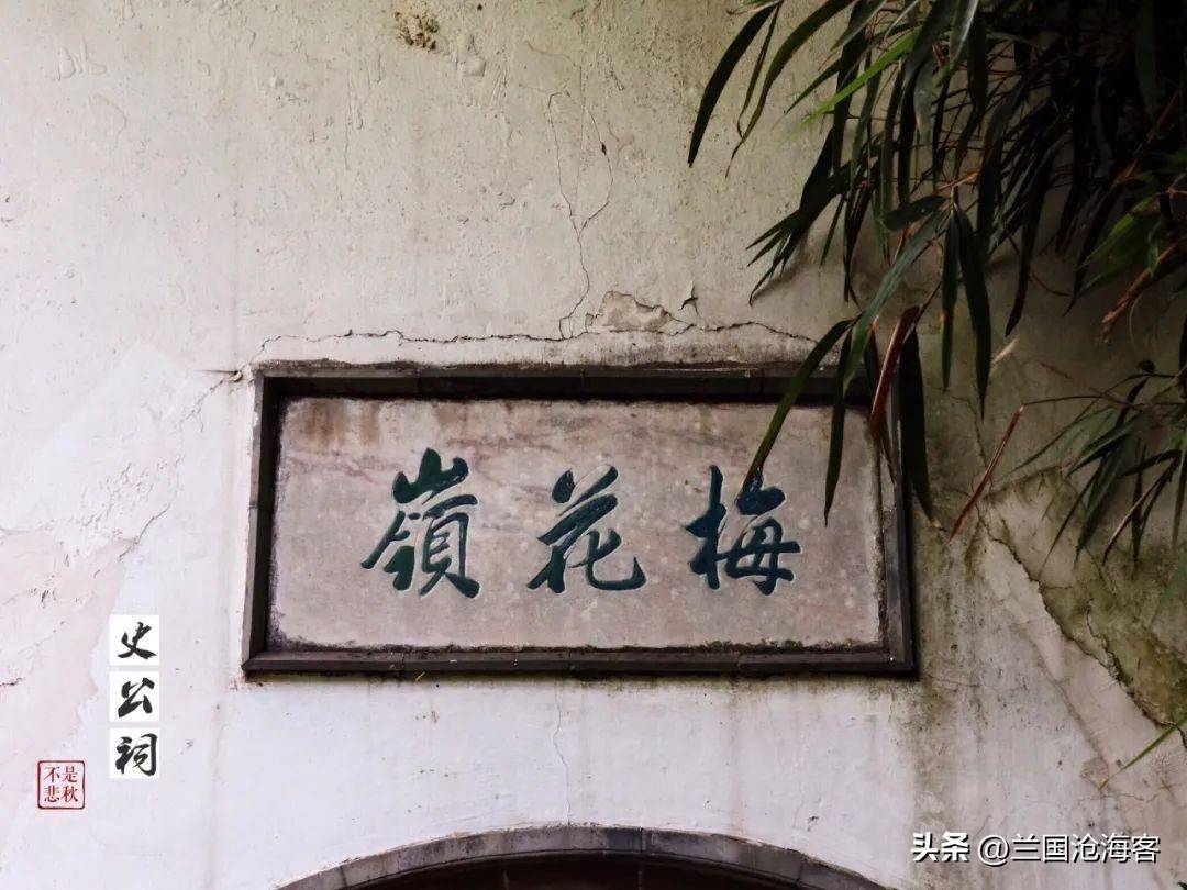 老鸦窝里出凤凰，灰姑娘邢岫烟影射大揭秘