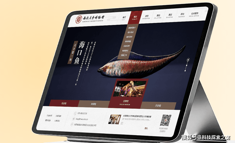 文章配图-2