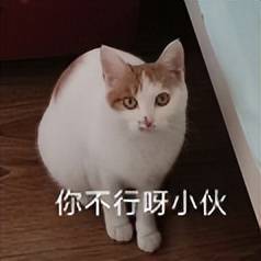 原创             这款万元旗舰新机，史上最尴尬翻车！刚发布 2 个月...