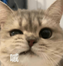 减肥减掉路人缘？女明星瘦身到底戳了谁的肺管子