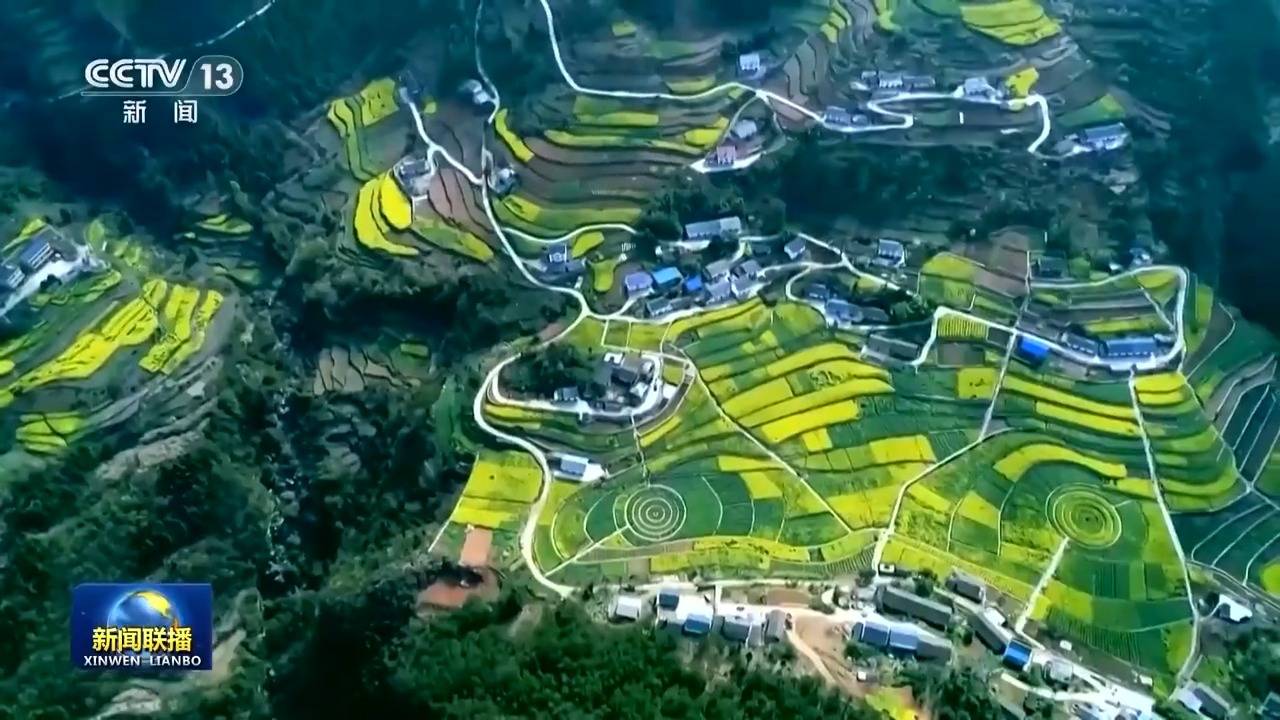 感知生态之变丨我国成为全球增绿最多最快的国家