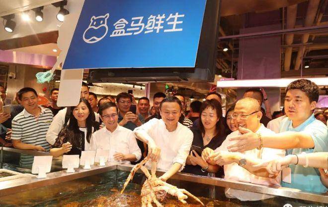 马云站台张勇孵化的盒马，为何会员店全军覆没？