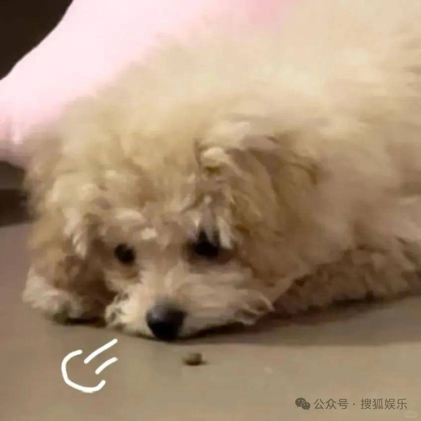 “上岸先斩意中人”的前任成了她事业的催化剂？这俩的分手真相好让人唏嘘！