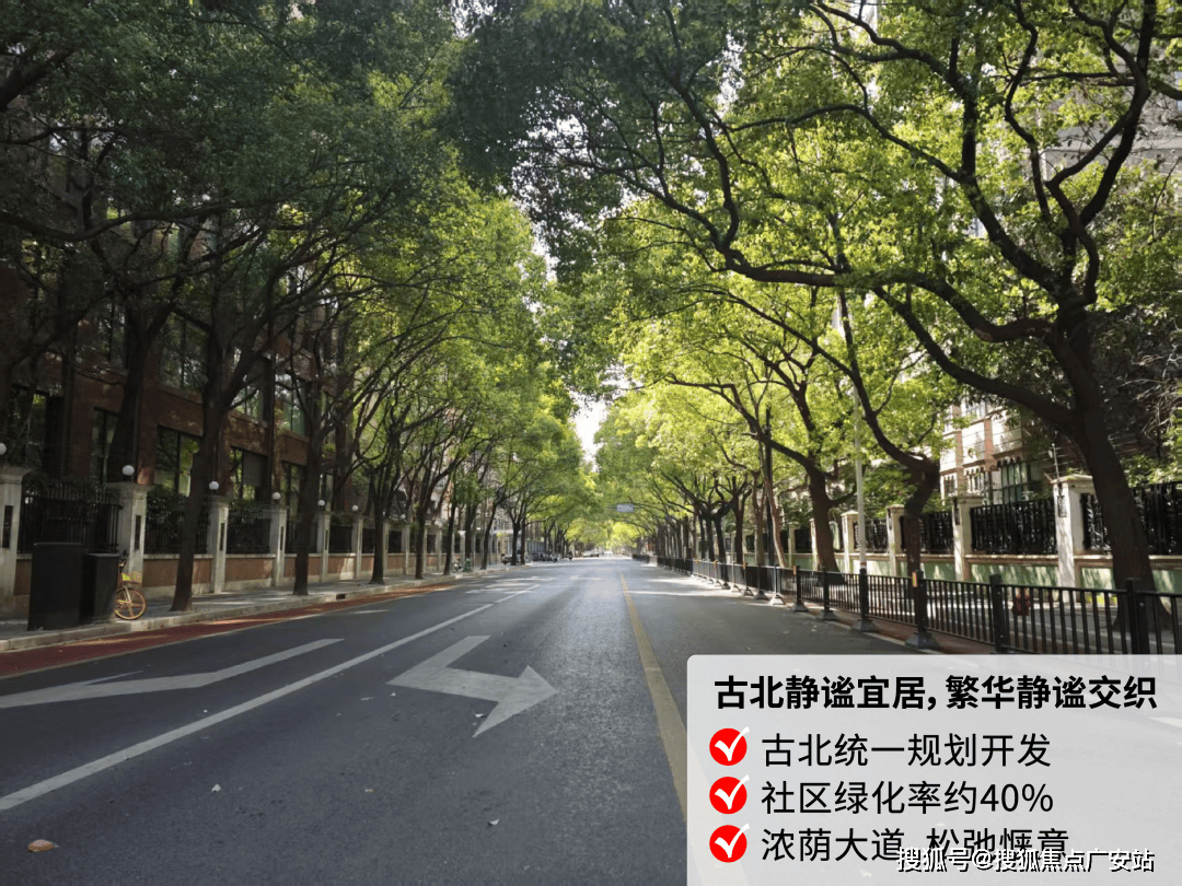 文章配图-12