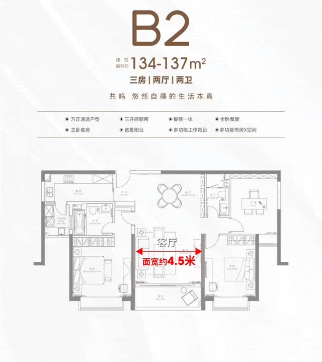 文章配图-15