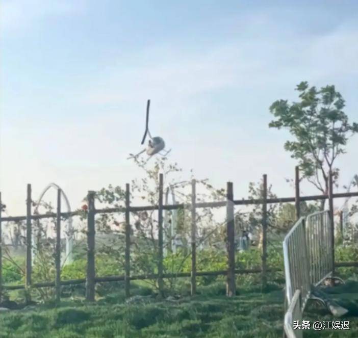 苏州直升机坠落后续！被砸男子是两女孩爸爸知情人曝出更多细节