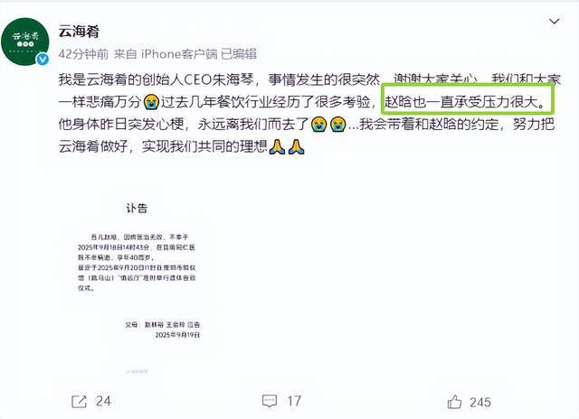 云海肴CEO透露赵晗去世细节，曾遭杨丽萍状告，与字节对簿公堂