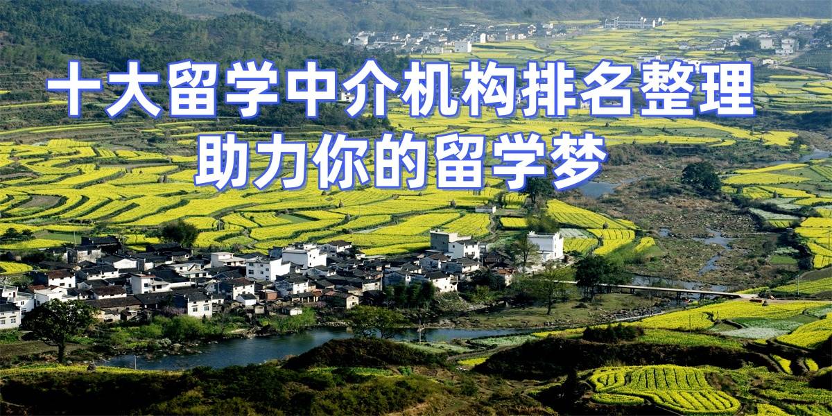 乐鱼体育- 乐鱼体育官网- APP世界杯指定平台青岛出国留学机构排名