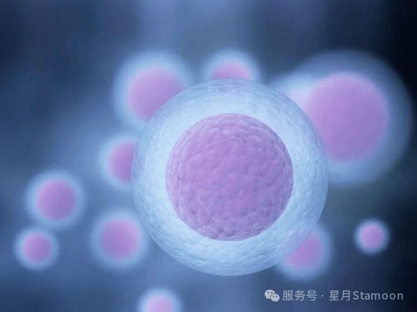 这份《中国专家共识》让供卵少走弯路！