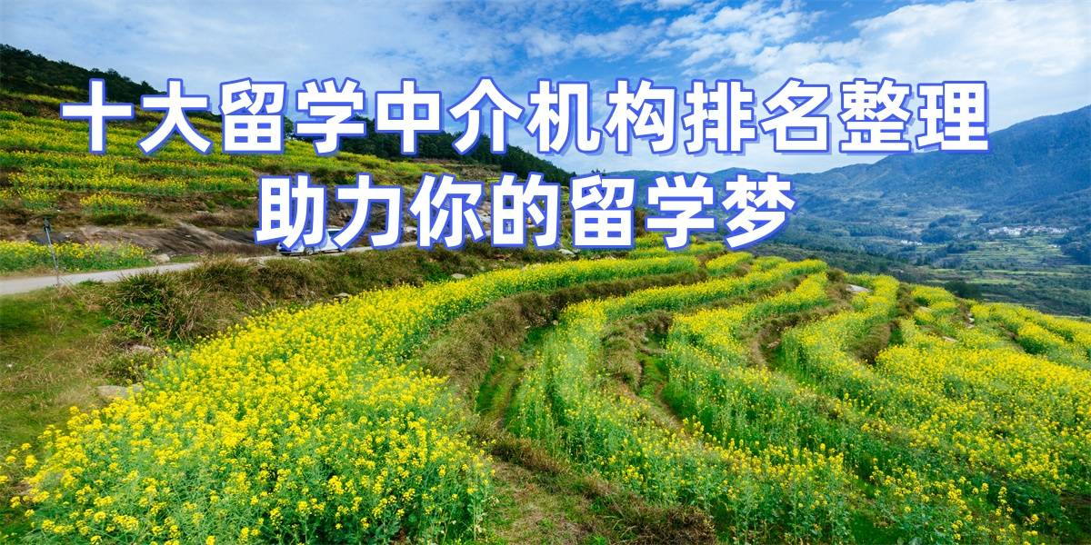 乐鱼体育- 乐鱼体育官网- APP世界杯指定平台郑州出国留学中介机构排名