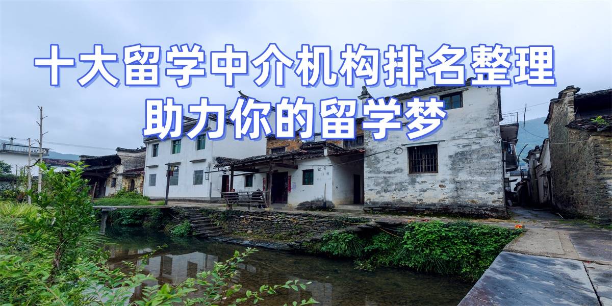 乐鱼体育- 乐鱼体育官网- APP世界杯指定平台留学中介机构排名前十名官方