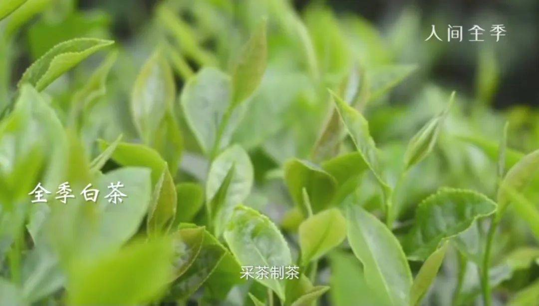 广州这家酒店，真的懂出差人的痛