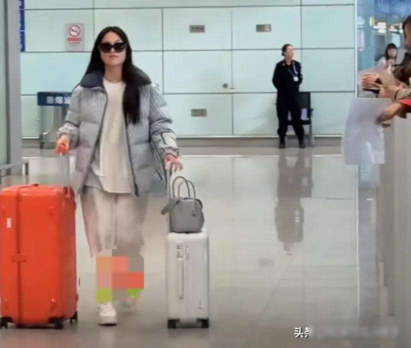 王诗龄频繁现身北京机场，父母动向成谜，神秘行李箱引路人围观