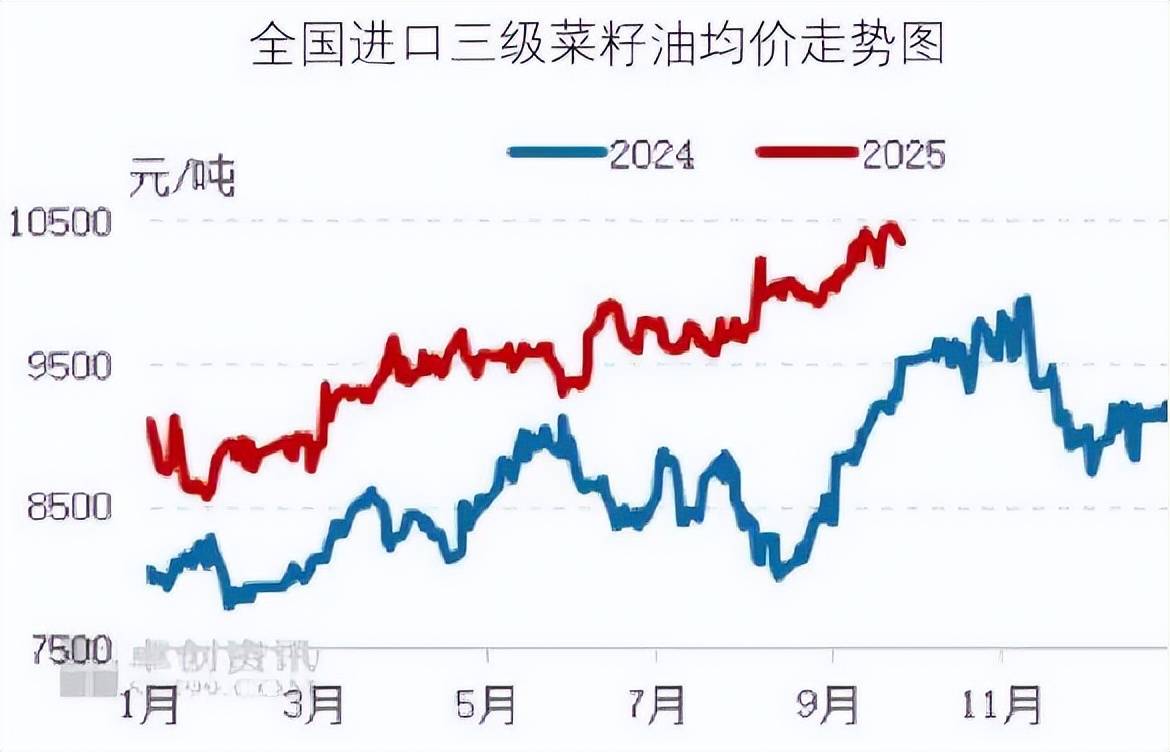 2025年10月食材采购行情：生猪价格反弹动力不足，蔬菜价格季节性上行