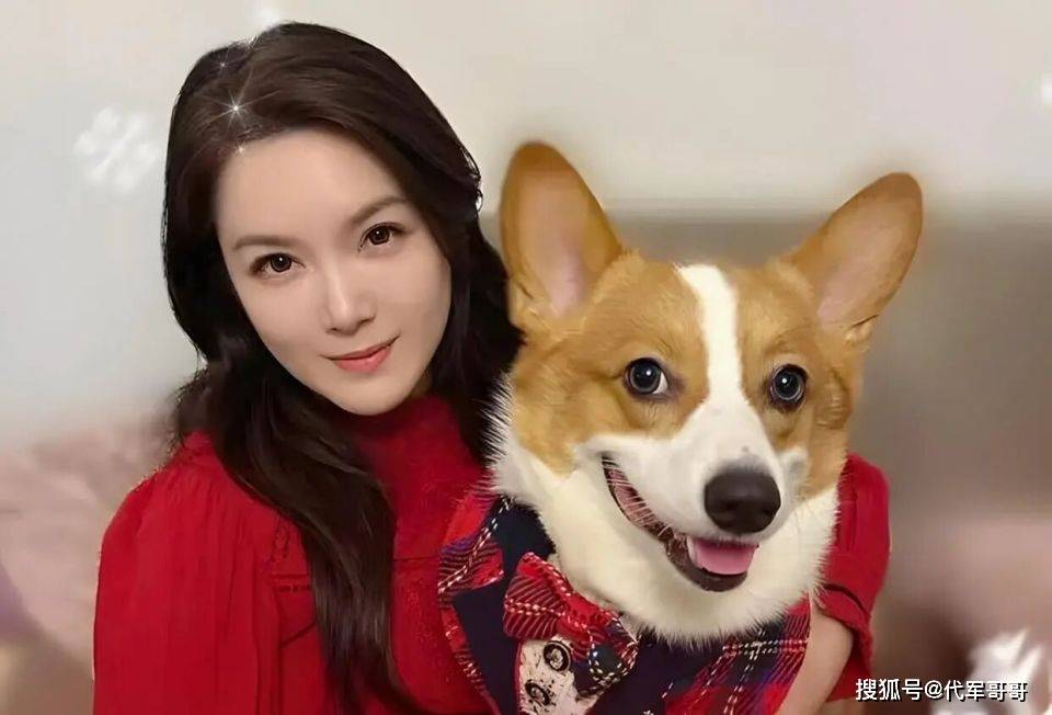 42岁苟芸慧宣布正式离婚！与富三代结束7年婚姻，离婚原因让人意外