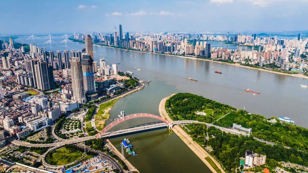 西雅图君主女足主帅：曾向AI问战术，研究后按照它的答案尝试