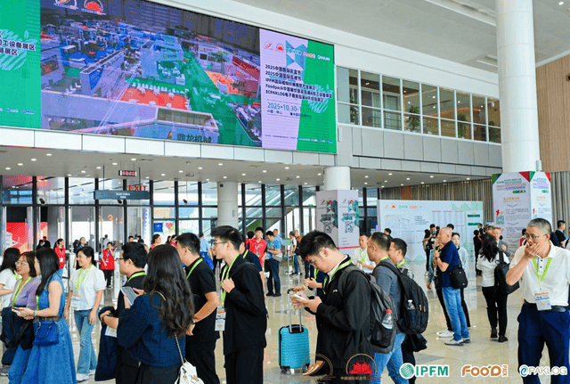 从佛山瓦楞节透视土耳其瓦楞纸商场对中邦纸成品的需求