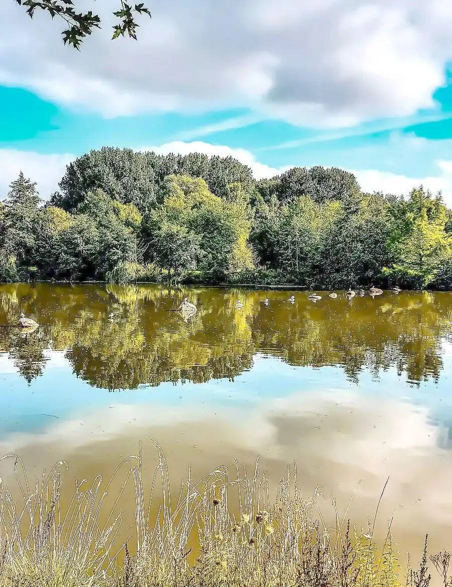 中国50个美丽旅游胜地全攻略Binance Casino - 领先的数字货币娱乐场，安全稳定，极速存取