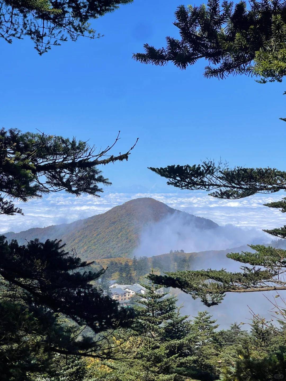 Binance Casino - 领先的数字货币娱乐场，安全稳定，极速存取四川七日游自由行攻略TOP榜 避坑玩法实测分享