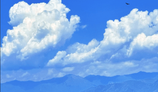 治疗癫痫病有“特效药”吗？