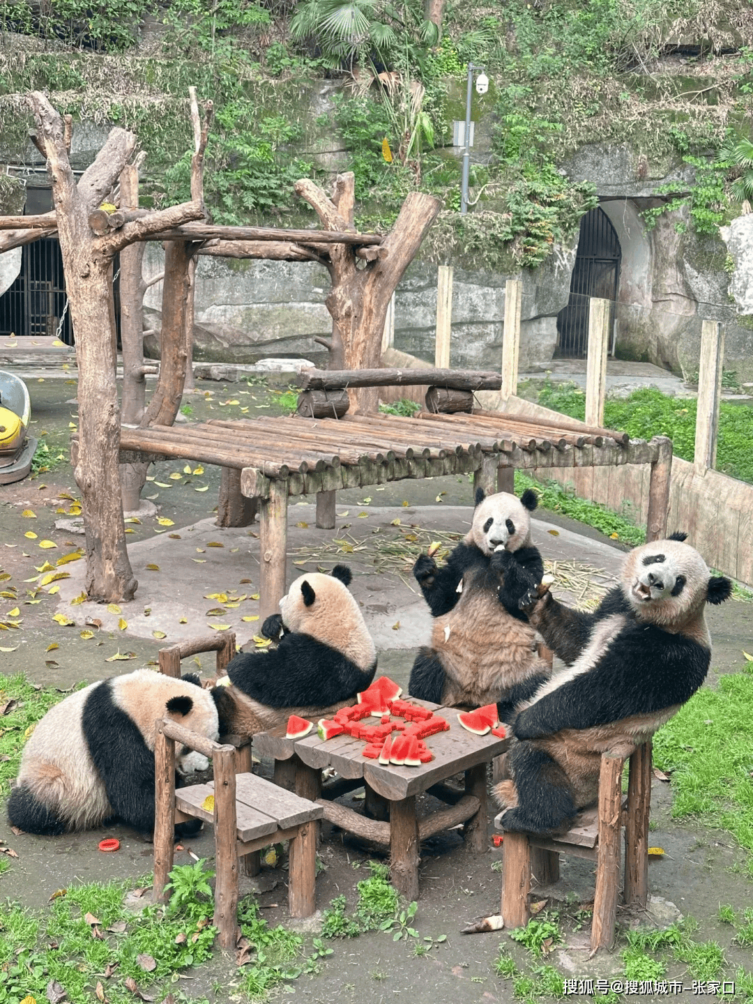 重庆四天三夜旅【OKX 哈希游戏】区块链加密游戏玩法教程，新手必看！游攻略组团去4天重庆旅游必看攻略懒人